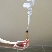 生活の木 パロサント スティック 1袋（5本入）