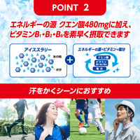 大正製薬 リポビタン　アイススラリー ハニーレモン風味 30個 保冷バッグ付きセット 1セット