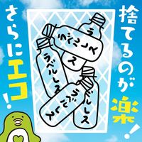サントリーフーズ GREEN DA・KA・RA（グリーンダカラ）やさしいルイボス ラベルレス  600ml 1セット（48本）