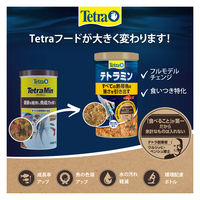 テトラ テトラミン 熱帯魚用 観賞魚用フード フレークタイプ 180g 1個 スペクトラムブランズジャパン