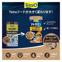 テトラ テトラミン 熱帯魚用 観賞魚用フード フレークタイプ 45g 1個 スペクトラムブランズジャパン