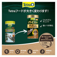 テトラ レプトミン スーパー カメ用フード 中粒 80g 1個 スペクトラムブランズジャパン