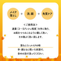 【アウトレット】クレンジングリサーチ　ホイップクレンジング 金木犀の香り 1個 スタイリングライフＢＣＬカンパニ