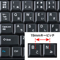 サンワサプライ トラックボールキーボード SKB-TR03BK 1個