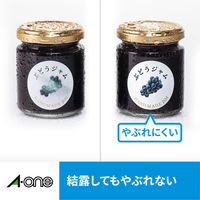 エーワン（A-one）ラベルシール 超耐水 光沢フィルム インクジェット シール A4 透明(やや乳白色) 12面  3シート  30612