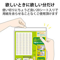 エレコム 宛名・表示ラベル/速貼/65面付/38.1mm×21.2mm/20 EDT-TMQN65 1個(20シート65面)（直送品）
