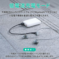 AUKEY モバイルバッテリー Sprint Go Pro 10 10000mAh ホワイト PB-N67-WT 1台