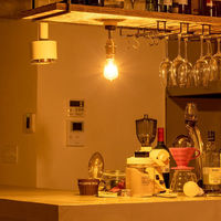 TIC 本体 1灯スポットライト 引掛シーリング用 ブラス TC-1001-BS 1個（直送品）