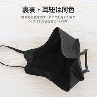 不織布マスク 4層構造 ダイヤモンド形状 フルカバー 30枚入/箱 個包装 普通サイズ ブラック 黒 BFEフィルター 大人用 使い捨て（直送品）