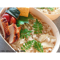 スドウ (木製弁当箱)エコオリFLR-06B 楕円形 本体 25個 SD196001-25 1袋(25個)（直送品）