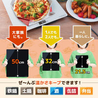 サンコー 「フードウォーマープレートS」ホワイト FDWRPSCWH 1台（直送品）