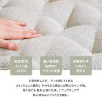 萩原敷物 クッション インド綿クッキークッション アルト 42×42×10cm グリーン 407654 1個（直送品）