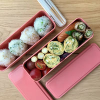 三好製作所 お弁当箱 GEL-COOL slim SL 2段 700ml マカロンピンク 423690 1個（直送品）