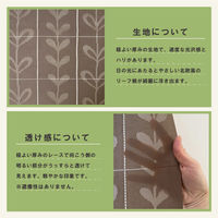 加栄レース アコーディオンカーテン リーフ柄 フリーカット 150×100cm ブラウン 469343 1個（直送品）