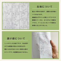 加栄レース アコーディオンカーテン アラベスク柄 フリーカット 150×250cm UVカット ホワイト 469351 1個（直送品）