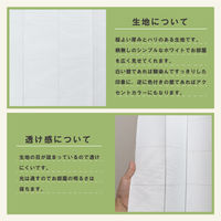 加栄レース アコーディオンカーテン 無地柄 フリーカット 150×200cm 469377 1個（直送品）