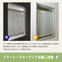 加栄レース レースカーテン 水玉ドット柄 小窓 UVカット ミラーレース 70×120cm 省エネ イエロー 469402 1個（直送品）