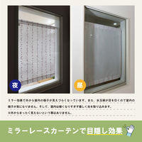 加栄レース レースカーテン 水玉ドット柄 小窓 UVカット ミラーレース 70×90cm 省エネ パープル 469405 1個（直送品）