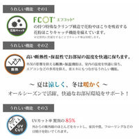 加栄レース 障子紙 障子に貼るレース 100cm×200cm 2枚入 カール 469425 1個（直送品）