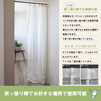 加栄レース レースカーテン フリーカット 100×250cm 2枚入り ミラーカーテン ペイズリー 469434 1個（直送品）