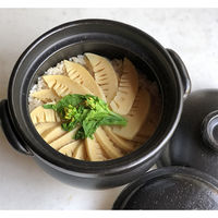 佐治陶器 炊飯土鍋 3合 絶品ごはん鍋 中蓋付き 萬古焼 日本製 419383 1個（直送品）