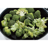 ウルシヤマ金属工業 蒸し皿 22cm以上用 スチームプレート ステンレス製 日本製 493969 1個（直送品）