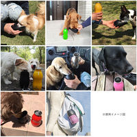 ルークラン 給水器 ループ ステンレスボトル L 750ml 犬 散歩 ペット用 グリーン 432923 1個（直送品）