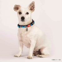 ルークラン 首輪 大型犬 L マックス&モーリー 迷子札 犬 フレンジーシャーク 437626 1個（直送品）