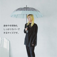 小川 長傘 -0& ゼロアンド 12本骨 クリア アンブレラ 雨傘 60cm ミント 486384 1個（直送品）