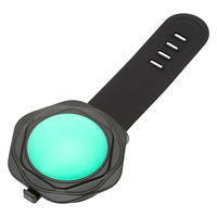 ルークラン ライト 散歩 犬 ループセイフ ルーセントLED グリーン 486814 1個（直送品）