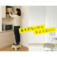 K.K 折りたたみ踏み台13 アイボリー 4582451313190 1個（直送品）