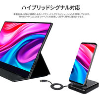 JAPANNEXT 15.6インチ 4Kワイド タッチパネルモバイルディスプレイ JN-MD-IPS1563UHDR-T 1台（直送品）