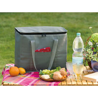 リマーク 大きな保冷温ボックスバッグ 82392 1個（直送品）