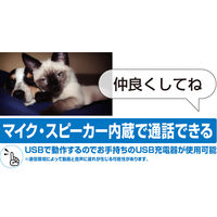 カシムラ スマートホームカメラ KJ-181 1個（直送品）