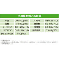 ファイトクローム ZEBA 66006 1個(5kg)（直送品）