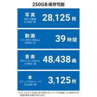 外付け SSD 250GB 超小型 直挿し USB 3.2 Gen2x2 グレー ESD-EAPC0250GGY エレコム 1個（直送品）