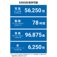 外付け SSD 500GB 超小型 直挿し USB 3.2 Gen2x2 グレー ESD-EAPC0500GGY エレコム 1個（直送品）