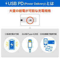朝日電器 延長コード 電源タップ 耐雷 回転 4個口/2m PD20W ホワイト WB-SL4222SUC(W) 1個（直送品）