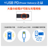 朝日電器 延長コード 電源タップ 耐雷 回転 4個口/2m PD20W ブラック WB-SL4222SUC(BK) 1個（直送品）