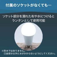 防災電球 4個 防災グッズ STAR LIGHT PSE認証 蓄電型 LED 電球 60W相当 SK-DPLB800NWE26 星光商事（直送品）