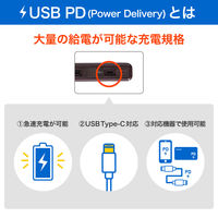 朝日電器 延長コード 電源タップ 耐雷 回転 4個口/2m PD20W 木目調 WB-SL4222SUC(WD) 1個（直送品）