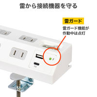朝日電器 延長コード 耐雷 集中スイッチ付き デスク用 4個口/2m PD20W ホワイト WLS-DS4222SUC(W) 1個（直送品）