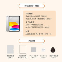 オウルテック iPadA16/第10世代対応 画面保護ガラス(マット) OWL-GSIH1101-AG 1個（直送品）