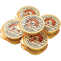 秋川牧園 秋川牧園の卵でつくったたまご村プリン　９個 AKB-003 1個（直送品）