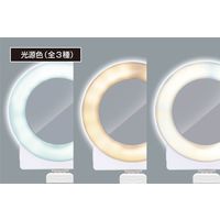 ハック クリップ付きLEDライト＆ミラー 2797 1個（直送品）