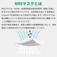 N95防護マスク 40枚(2箱セット) 小林薬品 高機能・4層構造 高耐久性フィルター 医療用（直送品）