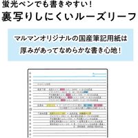 マルマン セッション バインダー A4 30穴 ライトブルー F584-52 1冊