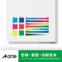エーワン（A-one）ラベルシール 水に強い パッケージラベル 耐水紙 レーザー 封筒 シール ステッカー A4 ノーカット 20シート  283（わけあり品）
