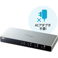サンワサプライ パソコン自動切替器(4:1) SW-KVM4LUN2 1個（直送品）