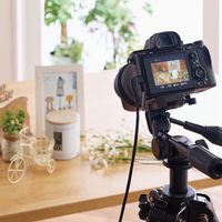 カメラケーブル Type-Cケーブル USBA-USBC 3m L字コネクタ ブラック DGW-ACL30BK エレコム 1個